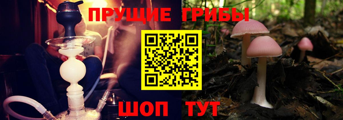 Галлюциногенные грибы GOLDEN TEACHER  Галлюциногенные грибы мицелий  Вход с VPN  Кстово 